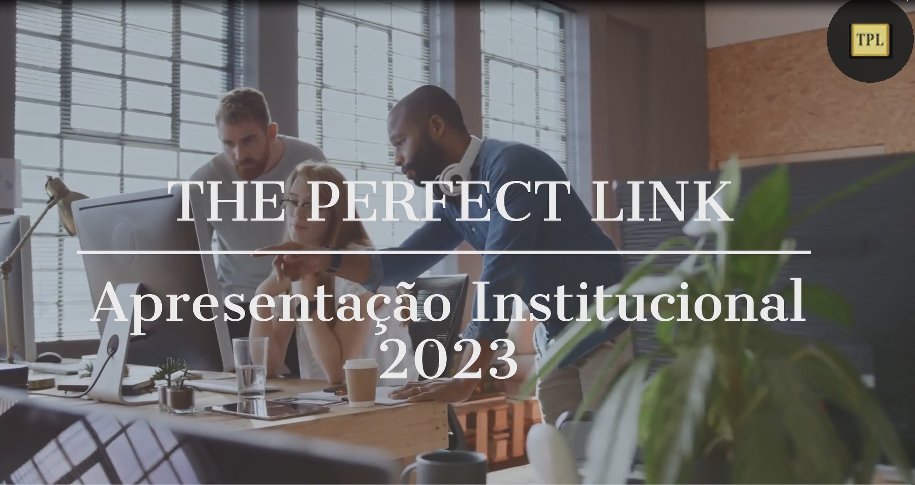 THE PERFECT LINK Empresa de Auditoria